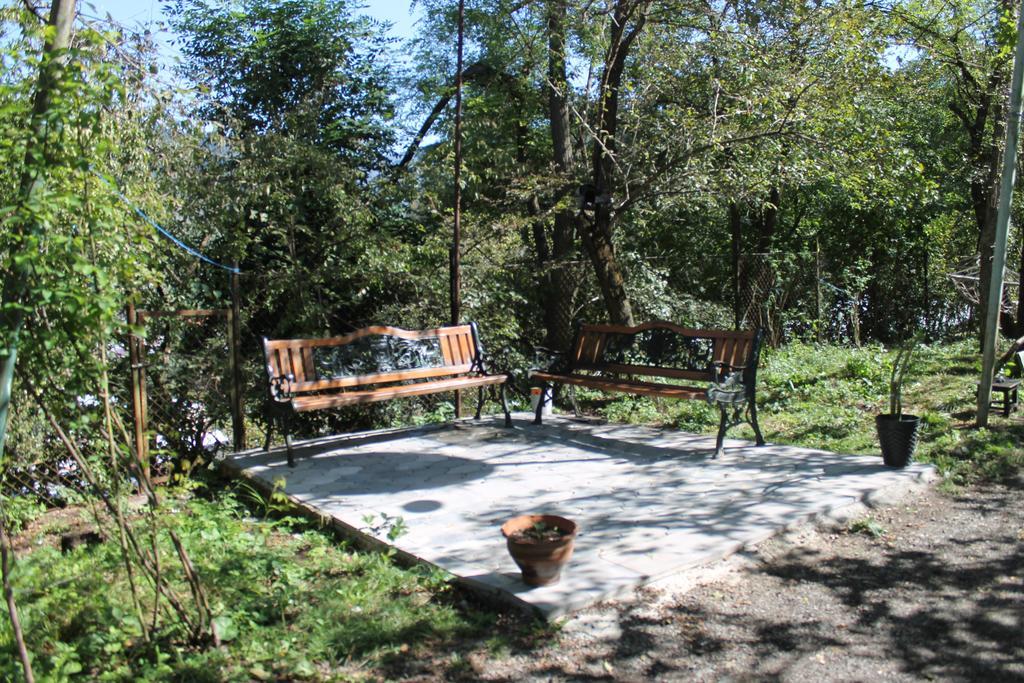 Apartment Cool House Borjomi Dış mekan fotoğraf
