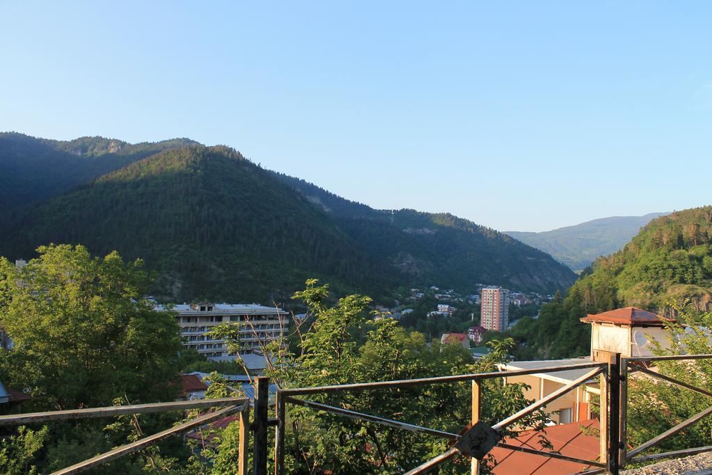 Apartment Cool House Borjomi Dış mekan fotoğraf